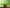 Promotion banner